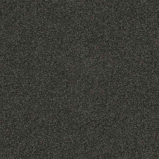 Asphera Cut Pile Twist Carpet (CGS2) - National Floors