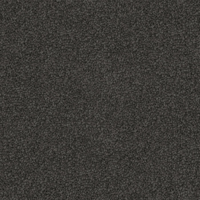 Asphera Cut Pile Twist Carpet (CGS2) - National Floors