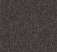 Avorin Loop Pile Carpet (CEM1) - National Floors