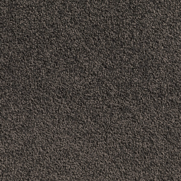 Beacrest Twist Pile Carpet (CQE1)