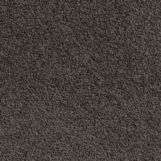 Beacrest Twist Pile Carpet (CQE1)