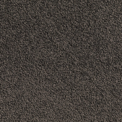 Beacrest Twist Pile Carpet (CQE1) - National Floors