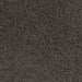 Beacrest Twist Pile Carpet (CQE1) - National Floors