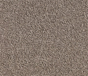 Birchen Twist Pile Carpet (CQM1)