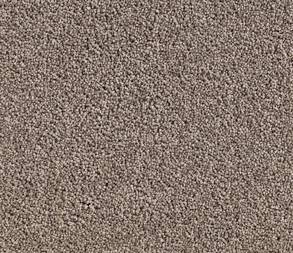 Birchen Twist Pile Carpet (CQM1) - National Floors