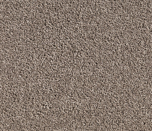 Birchen Twist Pile Carpet (CQM1)