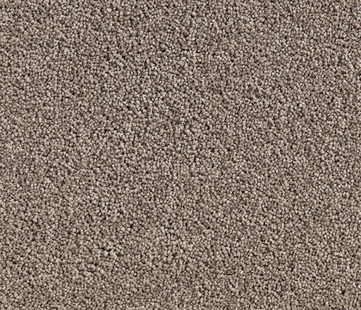 Birchen Twist Pile Carpet (CQM1) - National Floors