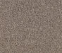 Birchen Twist Pile Carpet (CQM1) - National Floors