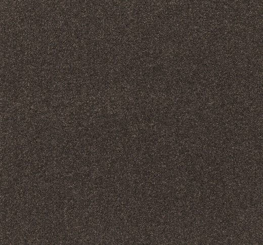 Coastline Cut Pile Twist Carpet (CEB1)