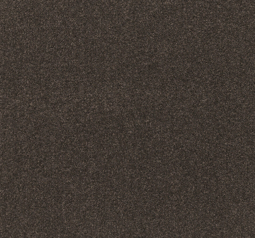 Coastline Cut Pile Twist Carpet (CEB1) - National Floors