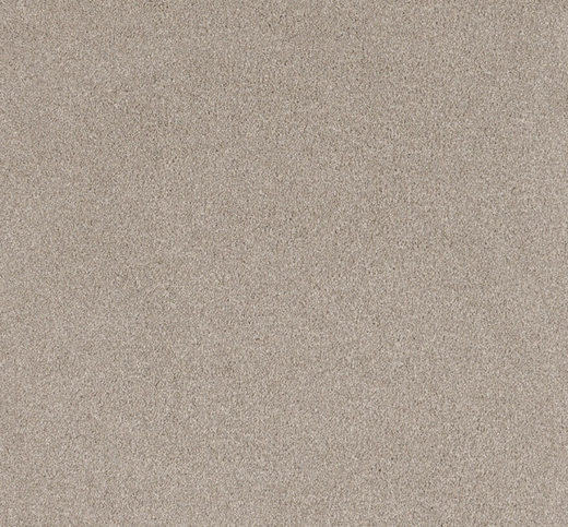Caskwood Cut Pile Twist Carpet (CEL1)
