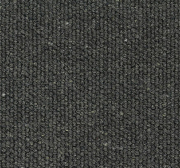 Borgarde Loop Pile Carpet (CGK1)