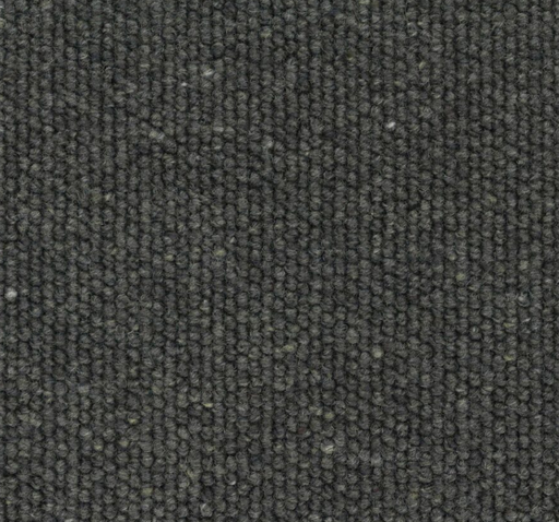Borgarde Loop Pile Carpet (CGK1) - National Floors