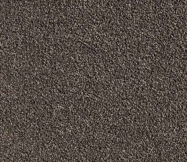 Buffaire Twist Pile Carpet (CQM2) - National Floors