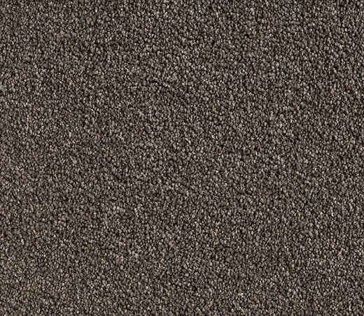 Buffaire Twist Pile Carpet (CQM2)