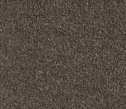 Buffaire Twist Pile Carpet (CQM2) - National Floors