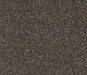 Buffaire Twist Pile Carpet (CQM2) - National Floors