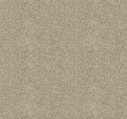 Crème Luxe Cut Pile Twist Carpet (CGD3)