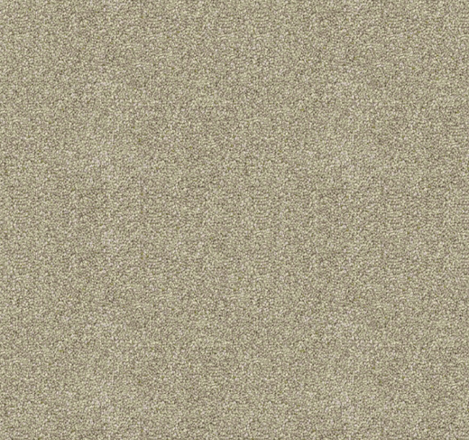Crème Luxe Cut Pile Twist Carpet (CGD3)