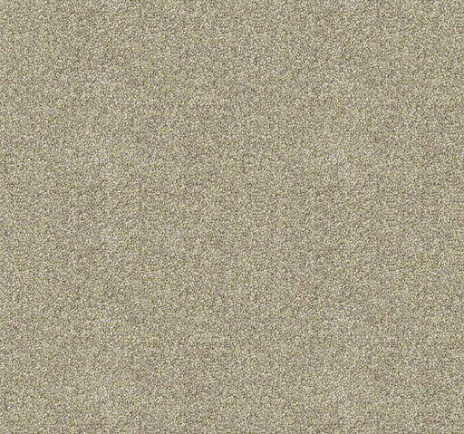 Crème Luxe Cut Pile Twist Carpet (CGD3) - National Floors
