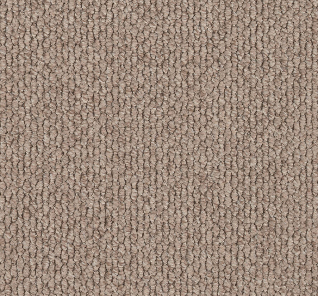 Arvion Loop Pile Carpet (CEA9)
