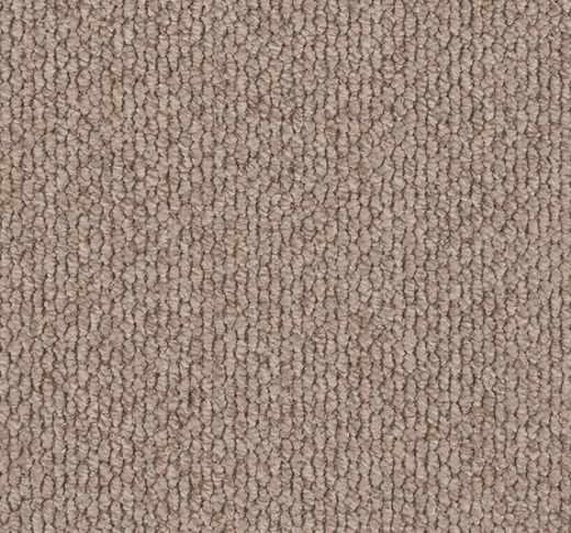Arvion Loop Pile Carpet (CEA9)