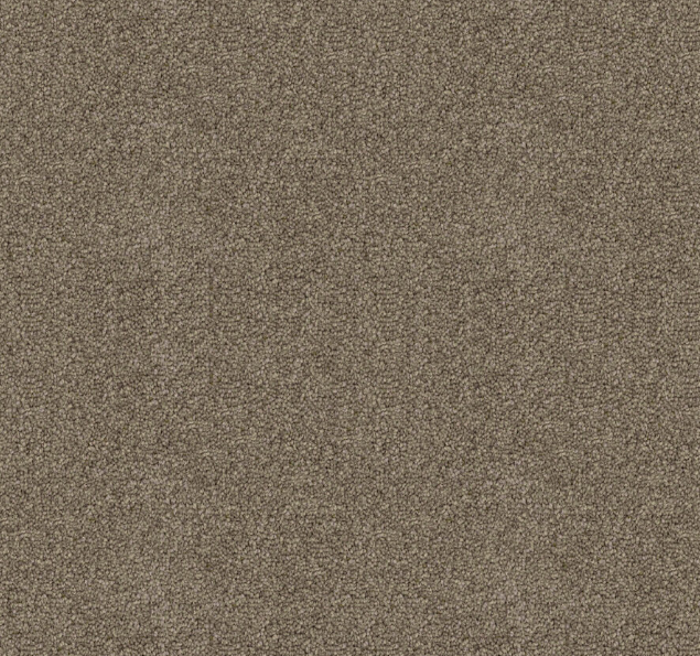Canford Cut Pile Twist Carpet (CGD4) - National Floors