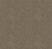 Canford Cut Pile Twist Carpet (CGD4)