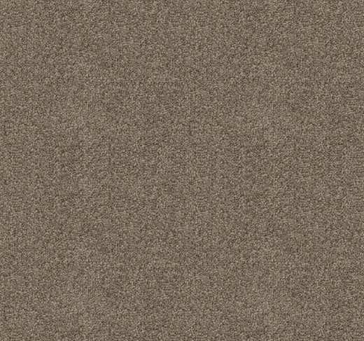 Canford Cut Pile Twist Carpet (CGD4)