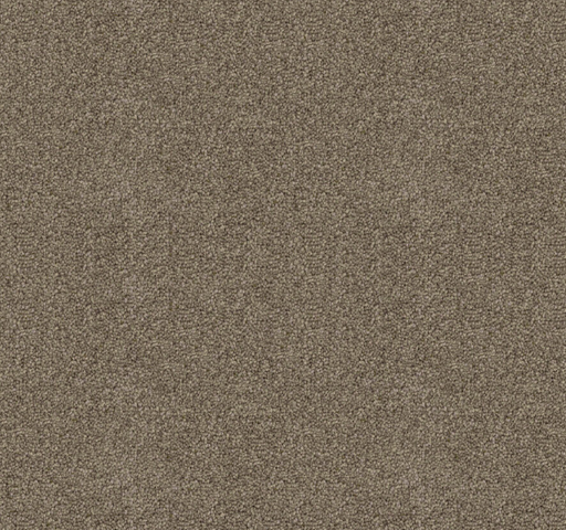 Canford Cut Pile Twist Carpet (CGD4) - National Floors