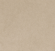 Vistale Cut Pile Twist Carpet (CEL2)