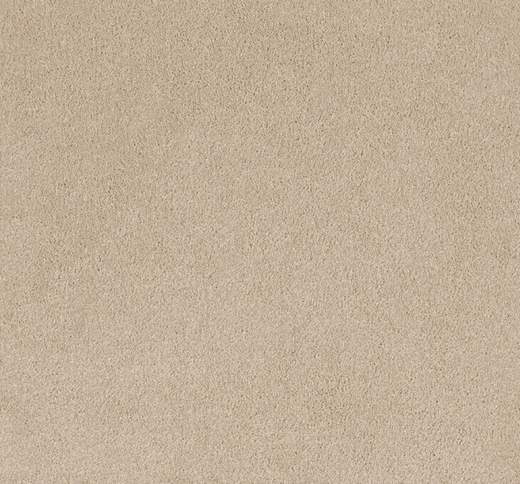 Vistale Cut Pile Twist Carpet (CEL2)