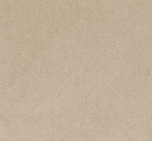 Vistale Cut Pile Twist Carpet (CEL2) - National Floors