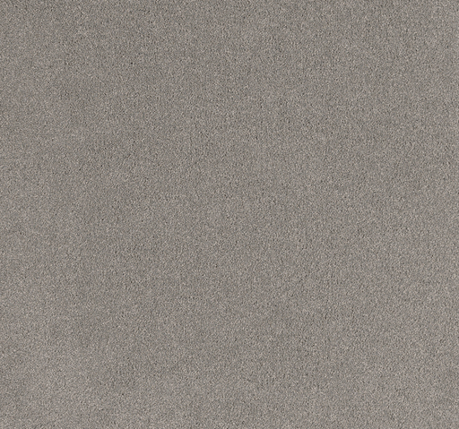Corvaris Cut Pile Twist Carpet (CEL3) - National Floors