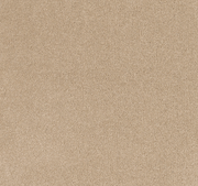 Chevalier Cut Pile Twist Carpet (CEL4)