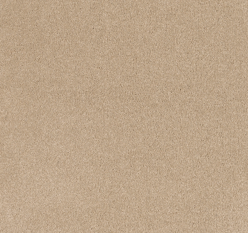 Chevalier Cut Pile Twist Carpet (CEL4) - National Floors