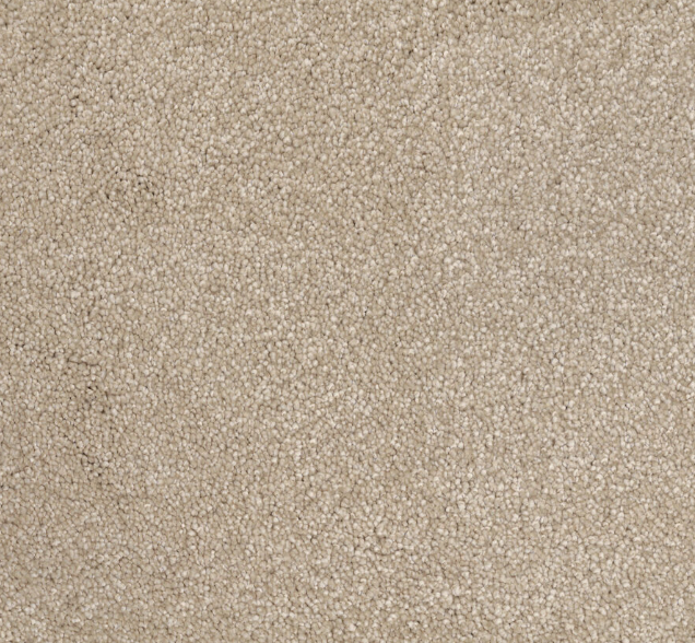Coral Current Cut Pile Twist Carpet (CGN4)