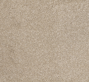 Coral Current Cut Pile Twist Carpet (CGN4)