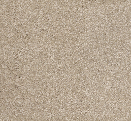 Coral Current Cut Pile Twist Carpet (CGN4)