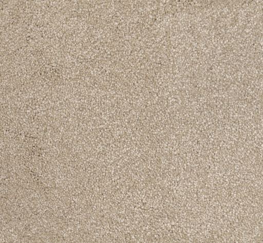Coral Current Cut Pile Twist Carpet (CGN4) - National Floors