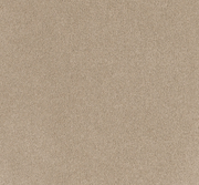 Lunaris Cut Pile Twist Carpet (CEB3)