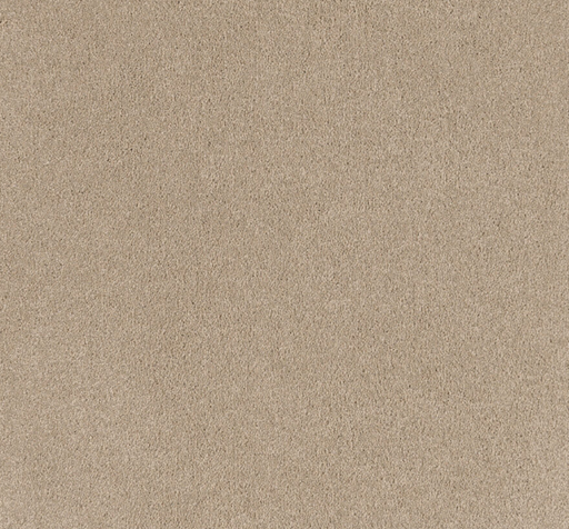 Lunaris Cut Pile Twist Carpet (CEB3) - National Floors