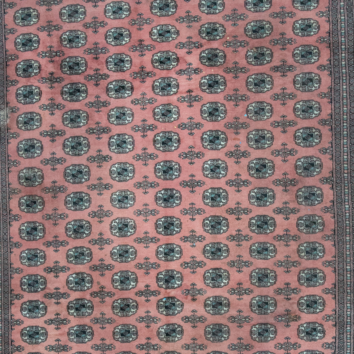Bukara Handmade Rug — 250 × 300 cm (Label 144) — close-up of the actual photographed pattern and weave.