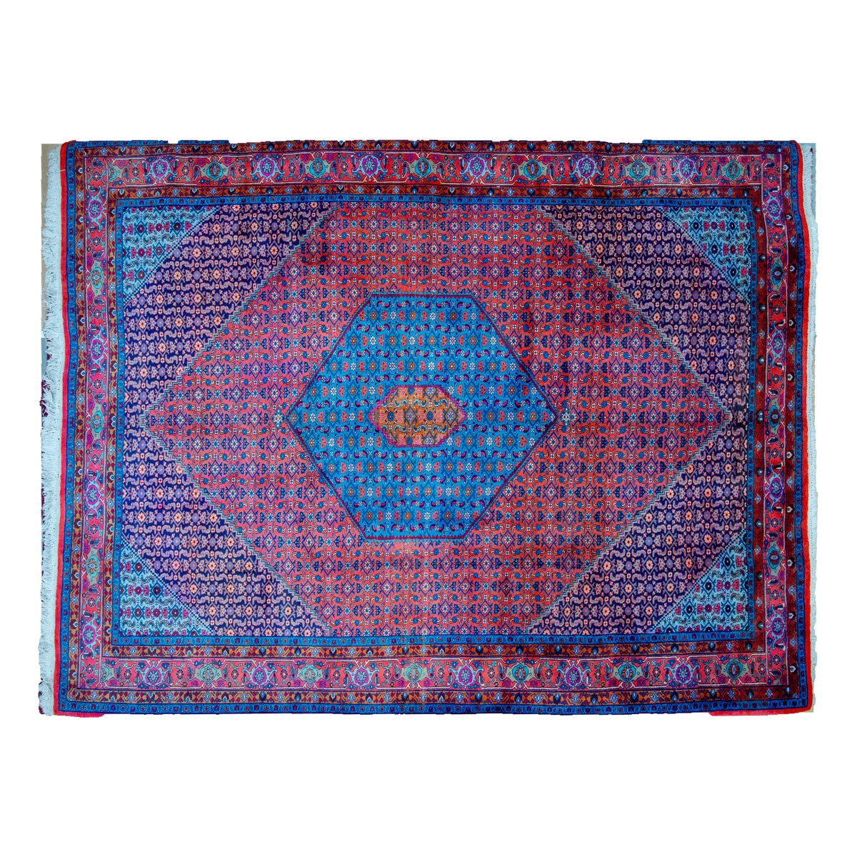 Bidjar handmade rug, label 566, 300 × 380 cm, on white background. Photo DSC00566.