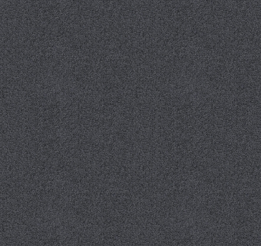 Obsidian Depth Cut Pile Twist Carpet (CGD5)
