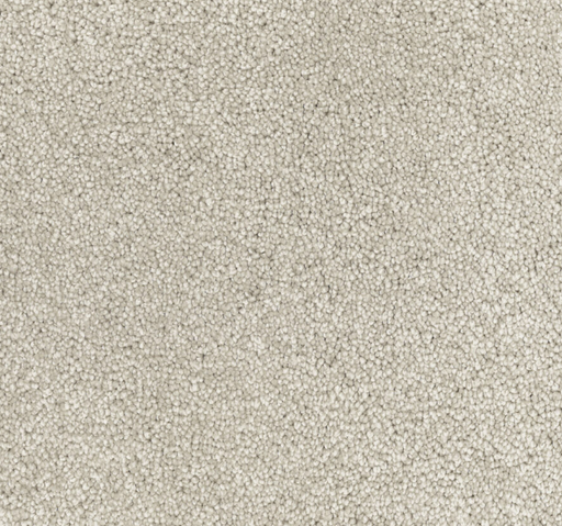 Dolphin Crest Cut Pile Twist Carpet (CGN5) - National Floors
