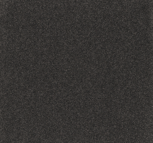 Valcourt Cut Pile Twist Carpet (CEL5) - National Floors