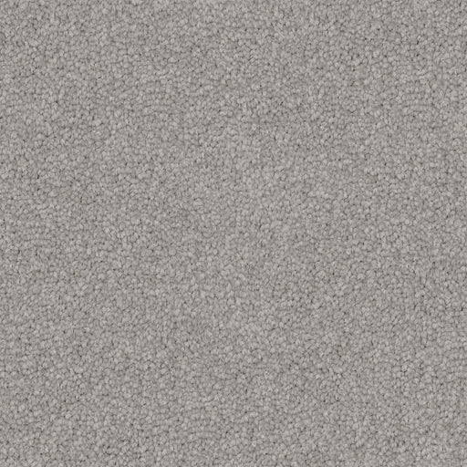 Driftvale Cut Pile Twist Carpet (CGS3) - National Floors