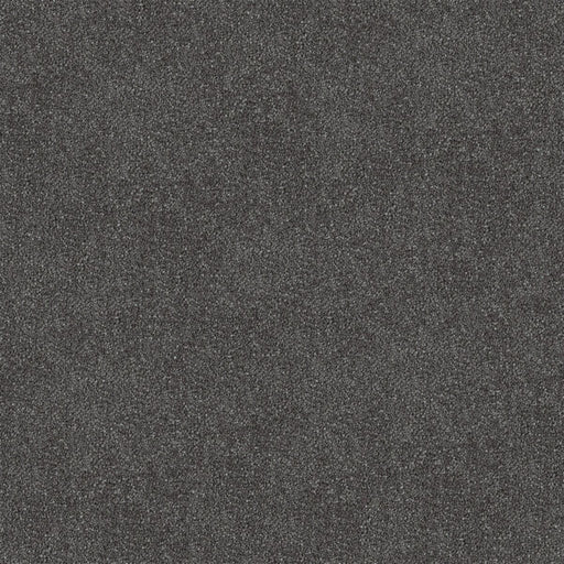 Duskveil Cut Pile Twist Carpet (CGR1) - National Floors