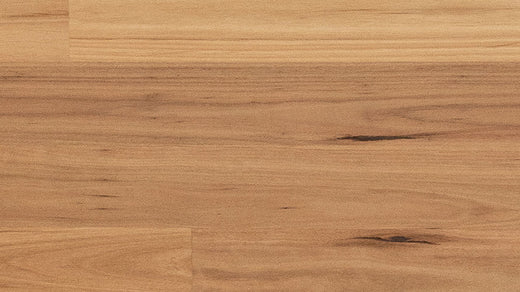Blackbutt 14/3mm Engineered Flooring (ECC33)